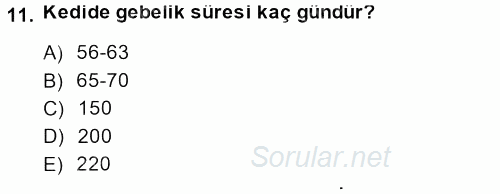 Doğum Bilgisi ve Suni Tohumlama 2013 - 2014 Dönem Sonu Sınavı 11.Soru