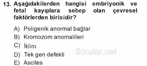 Doğum Bilgisi ve Suni Tohumlama 2013 - 2014 Dönem Sonu Sınavı 13.Soru