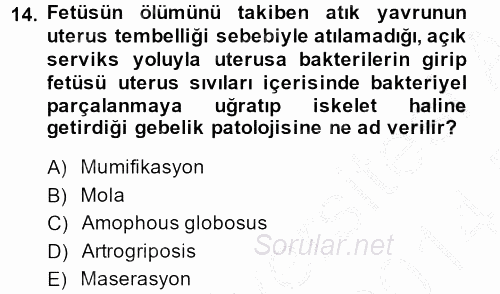 Doğum Bilgisi ve Suni Tohumlama 2013 - 2014 Dönem Sonu Sınavı 14.Soru