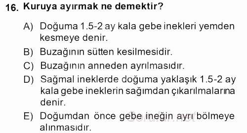 Doğum Bilgisi ve Suni Tohumlama 2013 - 2014 Dönem Sonu Sınavı 16.Soru