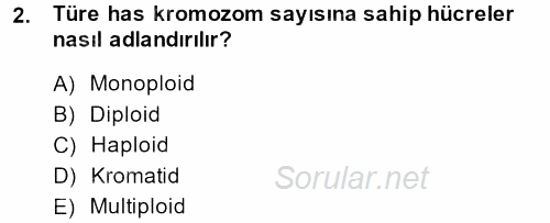 Doğum Bilgisi ve Suni Tohumlama 2013 - 2014 Dönem Sonu Sınavı 2.Soru
