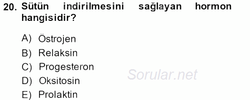 Doğum Bilgisi ve Suni Tohumlama 2013 - 2014 Dönem Sonu Sınavı 20.Soru