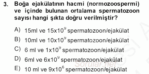 Doğum Bilgisi ve Suni Tohumlama 2013 - 2014 Dönem Sonu Sınavı 3.Soru