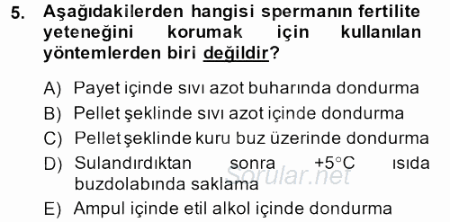 Doğum Bilgisi ve Suni Tohumlama 2013 - 2014 Dönem Sonu Sınavı 5.Soru