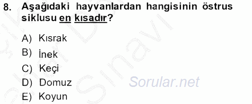 Doğum Bilgisi ve Suni Tohumlama 2013 - 2014 Dönem Sonu Sınavı 8.Soru