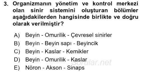 Bakım Elemanı Yetiştirme Ve Geliştirme 3 2017 - 2018 Ara Sınavı 3.Soru