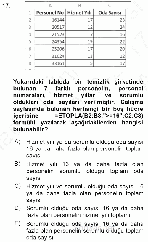 İşletme Analitiği 2016 - 2017 Ara Sınavı 17.Soru