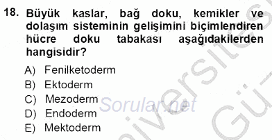 Erken Çocukluk Döneminde Gelişim 1 2012 - 2013 Ara Sınavı 18.Soru