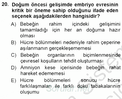 Erken Çocukluk Döneminde Gelişim 1 2012 - 2013 Ara Sınavı 20.Soru
