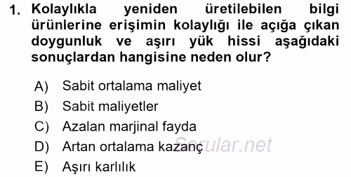 Bilgi Ekonomisi 2017 - 2018 Dönem Sonu Sınavı 1.Soru