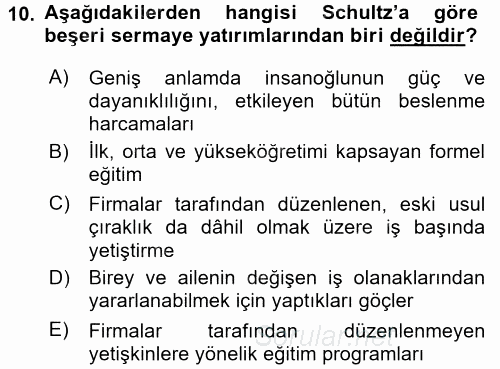 Bilgi Ekonomisi 2017 - 2018 Dönem Sonu Sınavı 10.Soru