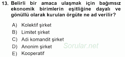 Kamu Özel Kesim Yapısı Ve İlişkileri 2017 - 2018 3 Ders Sınavı 13.Soru