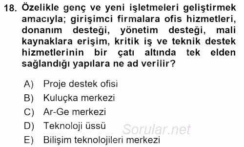 Kamu Özel Kesim Yapısı Ve İlişkileri 2017 - 2018 3 Ders Sınavı 18.Soru