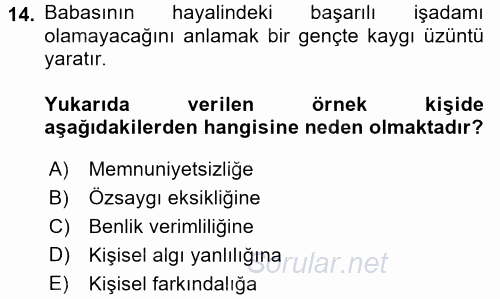 Sosyal Psikoloji 2 2017 - 2018 Dönem Sonu Sınavı 14.Soru