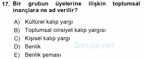 Sosyal Psikoloji 2 2017 - 2018 Dönem Sonu Sınavı 17.Soru