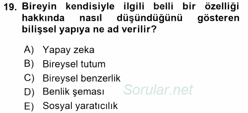 Sosyal Psikoloji 2 2017 - 2018 Dönem Sonu Sınavı 19.Soru