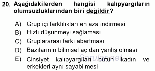 Sosyal Psikoloji 2 2017 - 2018 Dönem Sonu Sınavı 20.Soru