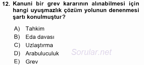 Toplu İş Hukuku 2015 - 2016 Tek Ders Sınavı 12.Soru