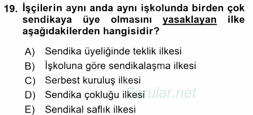Toplu İş Hukuku 2015 - 2016 Tek Ders Sınavı 19.Soru