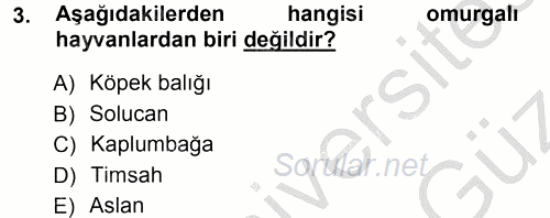 Okulöncesinde Fen Eğitimi 2012 - 2013 Ara Sınavı 3.Soru