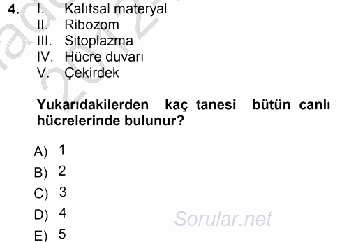Okulöncesinde Fen Eğitimi 2012 - 2013 Ara Sınavı 4.Soru