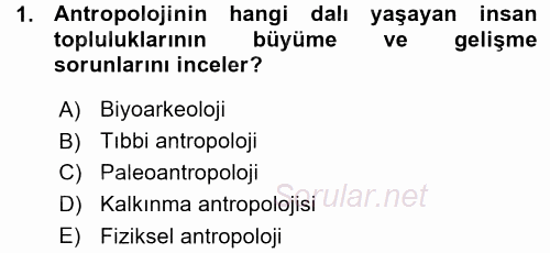 Antropoloji 2015 - 2016 Ara Sınavı 1.Soru