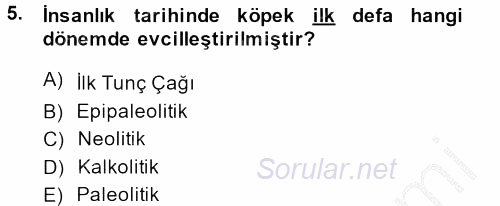 Eski Mezopotamya ve Mısır Tarihi 2013 - 2014 Ara Sınavı 5.Soru