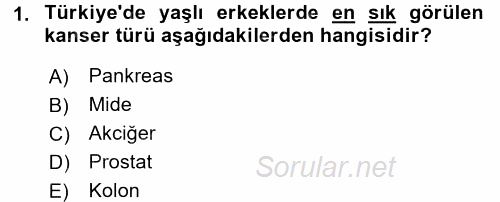 Yaşlı ve Hasta Bakım Hizmetleri 2016 - 2017 Ara Sınavı 1.Soru
