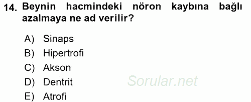 Yaşlı ve Hasta Bakım Hizmetleri 2016 - 2017 Ara Sınavı 14.Soru