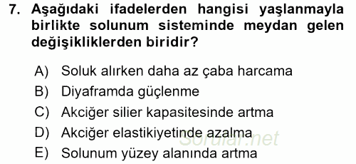 Yaşlı ve Hasta Bakım Hizmetleri 2016 - 2017 Ara Sınavı 7.Soru
