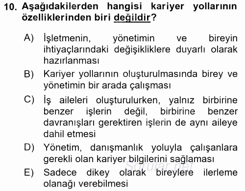 Performans ve Kariyer Yönetimi 2016 - 2017 Dönem Sonu Sınavı 10.Soru