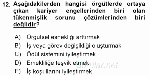 Performans ve Kariyer Yönetimi 2016 - 2017 Dönem Sonu Sınavı 12.Soru