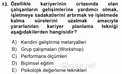 Performans ve Kariyer Yönetimi 2016 - 2017 Dönem Sonu Sınavı 13.Soru