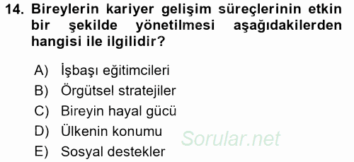 Performans ve Kariyer Yönetimi 2016 - 2017 Dönem Sonu Sınavı 14.Soru