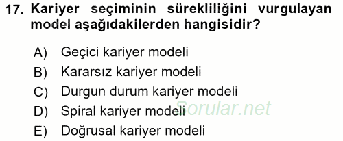 Performans ve Kariyer Yönetimi 2016 - 2017 Dönem Sonu Sınavı 17.Soru