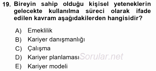 Performans ve Kariyer Yönetimi 2016 - 2017 Dönem Sonu Sınavı 19.Soru