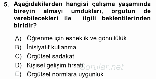 Performans ve Kariyer Yönetimi 2016 - 2017 Dönem Sonu Sınavı 5.Soru