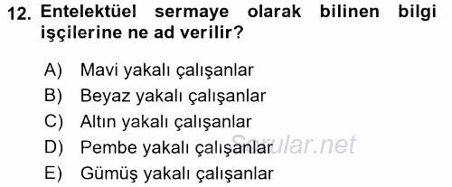 Endüstri İlişkileri 2016 - 2017 Ara Sınavı 12.Soru