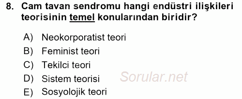 Endüstri İlişkileri 2016 - 2017 Ara Sınavı 8.Soru