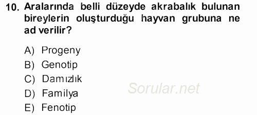 Temel Zootekni 2013 - 2014 Dönem Sonu Sınavı 10.Soru