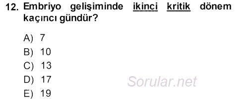 Temel Zootekni 2013 - 2014 Dönem Sonu Sınavı 12.Soru