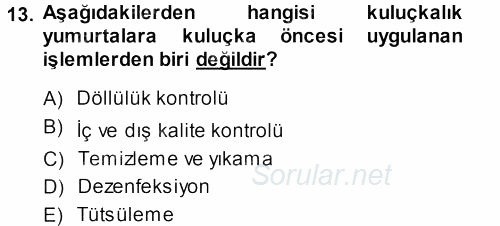 Temel Zootekni 2013 - 2014 Dönem Sonu Sınavı 13.Soru