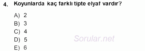 Temel Zootekni 2013 - 2014 Dönem Sonu Sınavı 4.Soru