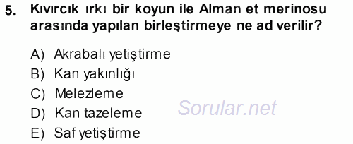 Temel Zootekni 2013 - 2014 Dönem Sonu Sınavı 5.Soru