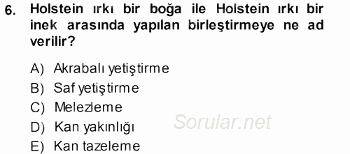 Temel Zootekni 2013 - 2014 Dönem Sonu Sınavı 6.Soru