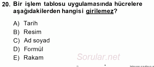 Dış Ticarette Bilgisayar Uygulamaları 2014 - 2015 Ara Sınavı 20.Soru
