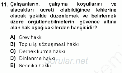 Temel İnsan Hakları Bilgisi 1 2013 - 2014 Dönem Sonu Sınavı 11.Soru