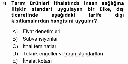 Uluslararası İktisat Politikası 2016 - 2017 Ara Sınavı 9.Soru