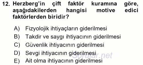 Ücret ve Ödül Yönetimi 2016 - 2017 Dönem Sonu Sınavı 12.Soru