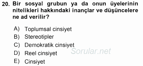 Medya Siyaset Kültür 2015 - 2016 Tek Ders Sınavı 20.Soru